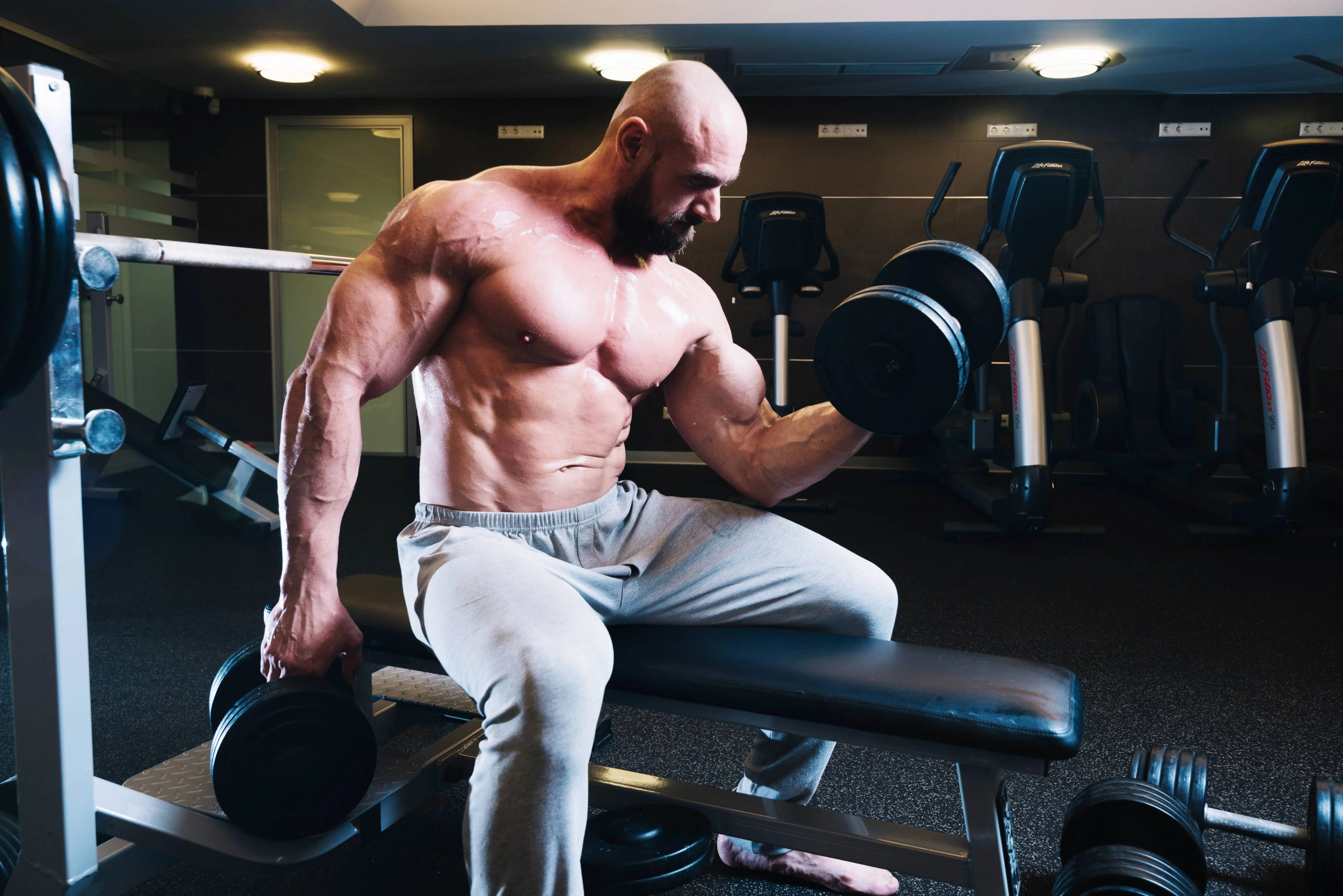The Ultimate Muscle Building Plan to Transform Your Body Fast